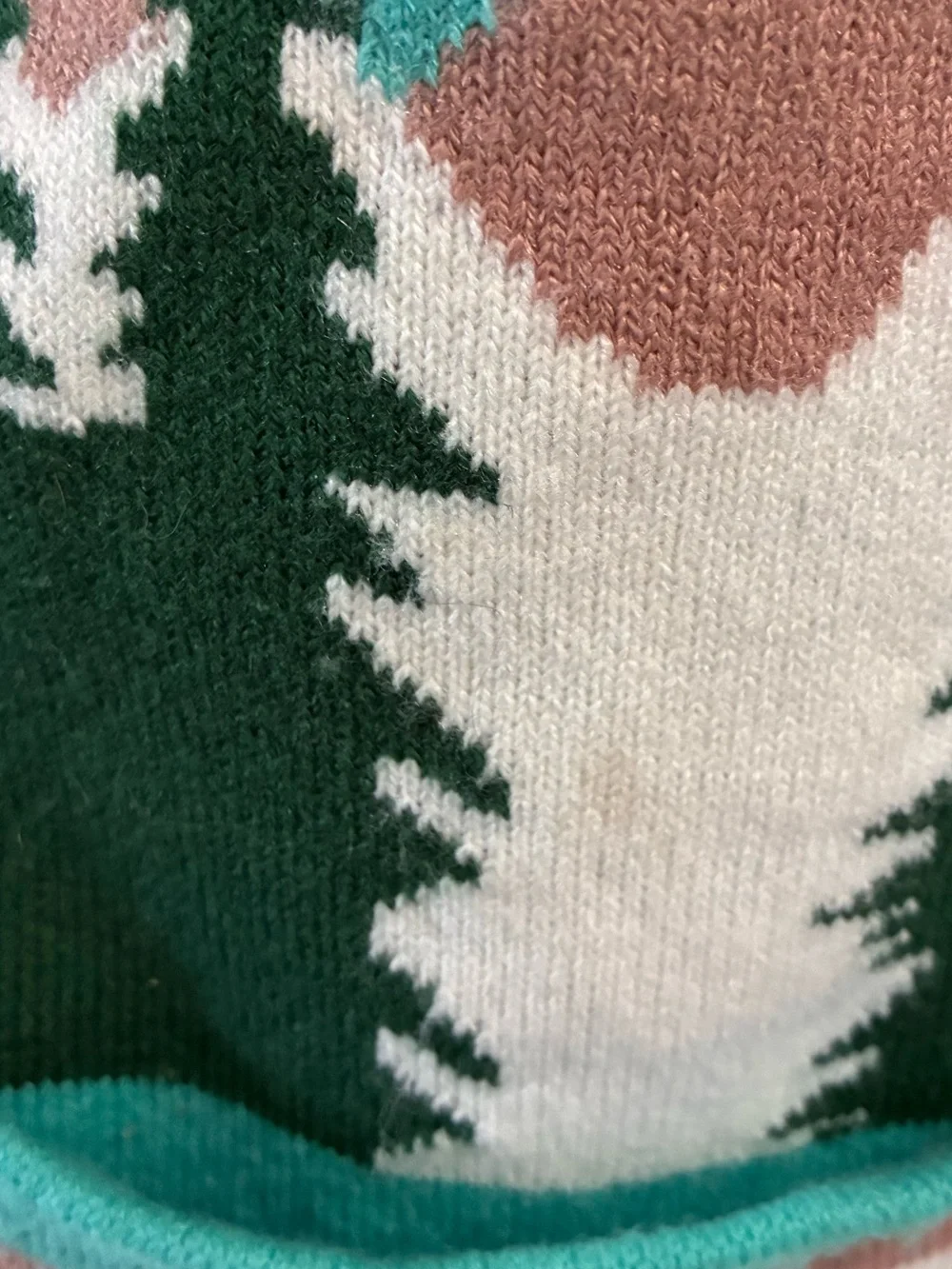 NPS Junior Ranger Mountain Scene Pom Pom Beanie in Teal & Forest Green